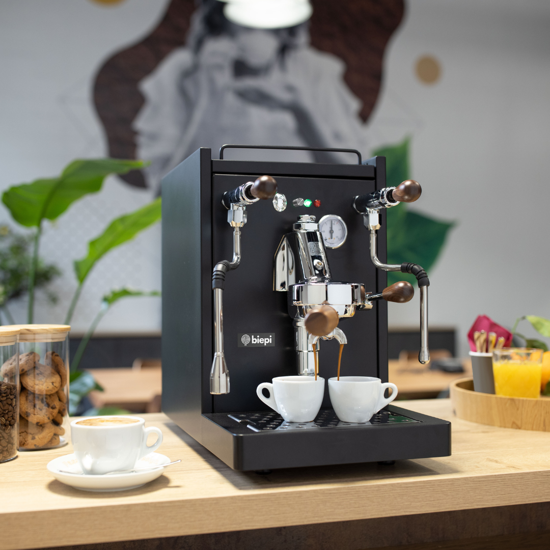 BIEPI SARA – v domácím prostředí